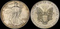 1 dolar 1995, srebro 31.43 g