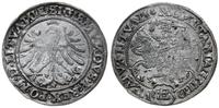 grosz 1535, Wilno, bez litery pod Pogonią, liter