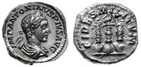 Cesarstwo Rzymskie, denar, 221-222