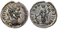 denar 197, Laodicea ad Mare, Aw: Popiersie w pra