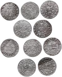 Polska, zestaw: 5 x półgrosz, 1507, 1508, 1509, 1510, 1511