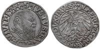 grosz 1544, Królewiec, mała głowa, końcówka napi
