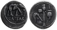 denar 49-48 pne, Rzym, Aw: Słoń kroczący w prawo
