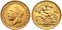 1 funt 1929/SA, Pretoria, złoto 7.98 g