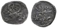 anonimowy denar srebrny z początku XV w., Aw: Gł