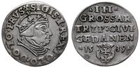 trojak 1539, Gdańsk, popiersie króla w czepcu i 