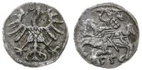 denar 1556, Wilno, wariant z małymi cyframi daty