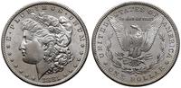 1 dolar 1881/S, San Francisco, typ Morgan, wyśmi