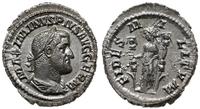 denar 236-237, Rzym, Aw: Głowa cesarza w prawo i