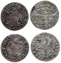 Polska, zestaw: 2 x 1 grosz, 1547 i 1534