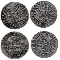 2 x półgrosz litewski 1560 i 1565, Wilno, łączni