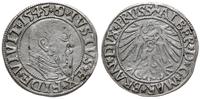 grosz 1545, Królewiec, Slg. Marienburg 1195, Vos