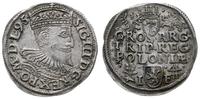 trojak 1595, Wschowa, płaska korona króla, w oto