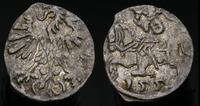 denar 1559, Wilno