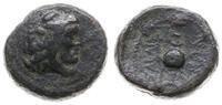 brąz II-I w pne, Aw: Głowa Heraklesa nakryta lwi