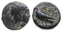 brąz III-II w pne, Aw: Głowa Artemidy w prawo; R