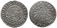 grosz 1532, Królewiec, Slg. Marienburg 1137, Vos