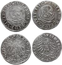 Prusy Książęce 1525-1657, zestaw groszy, 1531 i 1534