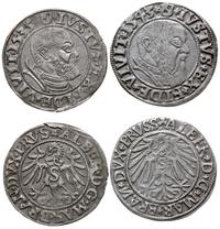 zestaw groszy 1535 i 1543, Królewiec, razem 2 sz