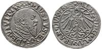 Prusy Książęce 1525-1657, grosz, 1545
