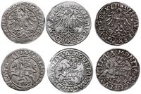 Polska, 3 x półgrosz, 1548, 1557 i 1564