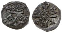 denar 1606, Poznań, skrócona data 0-6, ładnie za