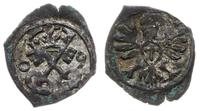denar 1609, Poznań, skrócona data 0-9, bardzo ła