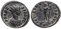 antoninian 281, Rzym, Aw: Popiersie cesarza w pr
