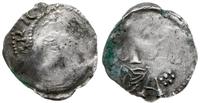 denar 1002-1024, Popiersie ?, HEINRICVS / Napis 
