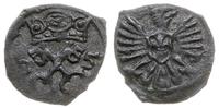 denar 1605, Poznań, skrócona data 0-5, H-Cz. 120