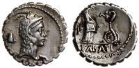denar seratus 64 pne, Rzym, Aw: Głowa Juno Sospi