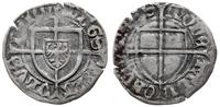 szeląg ok. 1426-1436, Gdańsk, Tarcza Ziem Pruski
