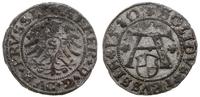 szeląg 1530, Królewiec, patyna, Neumann 48, Slg.