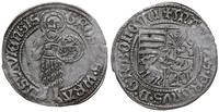 Śląsk, grosz, 1471-1490