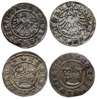 Polska, zestaw: 2 x pólgrosz, 1509 i bez daty