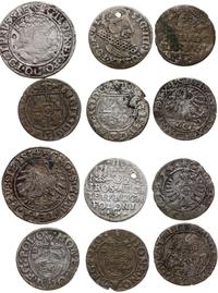 zestaw 9 różnych monet, głównie Zygmunta III Waz