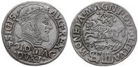 grosz na stopę polską 1547, Wilno, końcówki napi