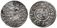 grosz 1613, moneta głucha, Saurma 3111
