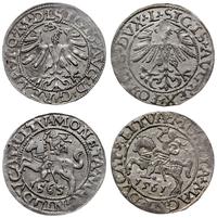Polska, zestaw półgroszy, 1561 i 1565