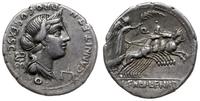 denar 82-81 pne, Rzym, Aw: Głowa w prawo, pod ni
