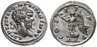 denar 198-202, Leodicea, Aw: Głowa cesarza w pra
