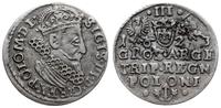 trojak 1623, Kraków, fragment innej monety przyk