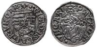 denar bez daty (1500-1502), Aw: Tarcza herbowa, 