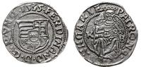 denar 1535 KB, Kremnica, pięknie zachowany, Husz