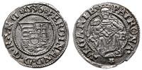 denar 1536 KB, Kremnica, pięknie zachowany, Husz