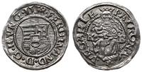 denar 1538 KB, Kremnica, pięknie zachowany, Husz