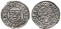 denar 1538 KB, Kremnica, pięknie zachowany, Husz