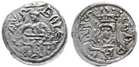 denar 1146-1157, Aw: Książę z mieczem trzymanym 