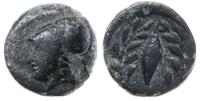 brąz ok. 340-300 pne, Głowa Ateny w lewo / Ziarn
