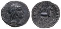 brąz II-I w. pne, Głowa Apollina w prawo, po lew